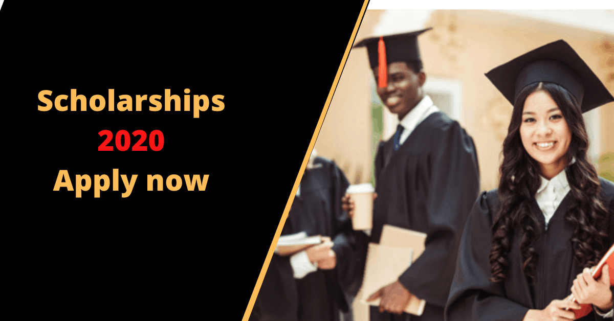 essay scholarships for undergraduate students